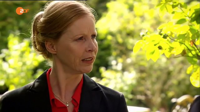 Notruf Hafenkante (227) Staffel 10 Folge 10 - Hund und Katze