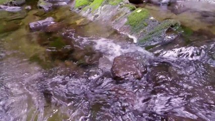 WONDERFULL SCENE OF RAIN AND WATERFALLS AND STUNNING SOUNDS
