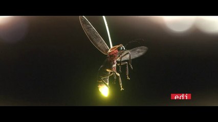 Freaks Out - Making of (clip HD) ⭐️⭐️⭐️½