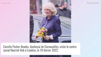 Download Video: Camilla Parker-Bowles future reine consort : sa réaction après l'annonce d'Elizabeth II