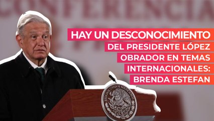 Hay un desconocimiento del presidente López Obrador en temas internacionales: Brenda Estefan