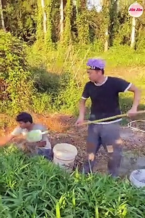 Best Funny Videos  - Try to Not Laugh  | Best Funny video | Don't try | comedy king | Funny video | comedy videos