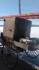 Amish Horse and Buggy Pull Skier