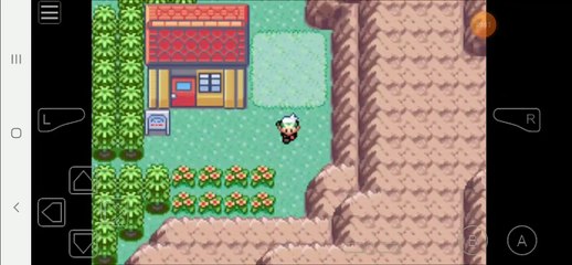 Pokémon Emerald Episode 17