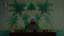 Hazrat Muhammad (S.A.W) ka hulya mubarik | Muhammad Raza Saqib Mustafai