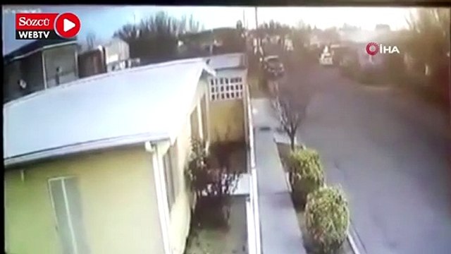 Meksika’da kuş sürüsü yere çakıldı, onlarca kuş telef oldu