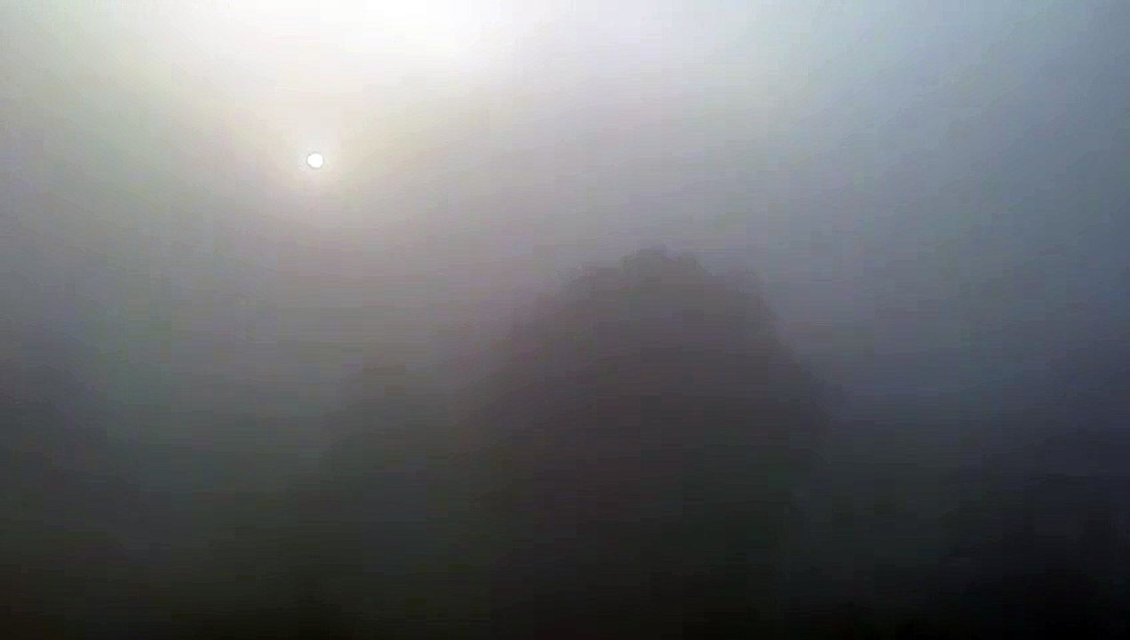 Weather Forecast- छाया घना कोहरा, सर्दी बढ़ी,बी...