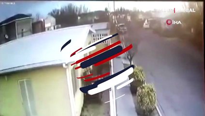 Kuş sürüsü yere çakıldı: O anlar kamerada!