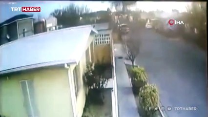 Meksika'da ardıç sürüsü yere çakıldı: 100 kuş telef oldu