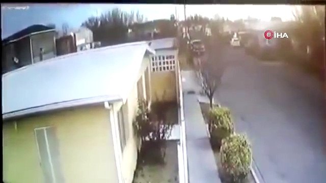 Kuş sürüsü yere çakıldı, onlarcası telef oldu