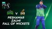 Peshawar Zalmi Fall Of Wickets | Multan Sultan vs Peshawar Zalmi | Match 16 | HBL PSL 7 | ML2G
