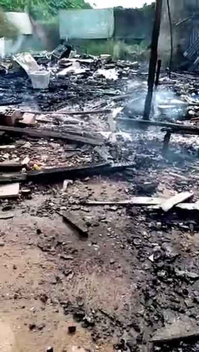 Homem é preso acusado de incendiar casa que abrigava seis filhotes de cachorros; confira o vídeo