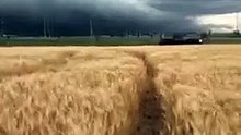 the beautiful nature