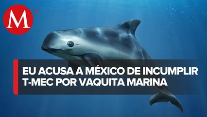 Por posible incumplimiento, EU anuncia Consultas Ambientales contra México