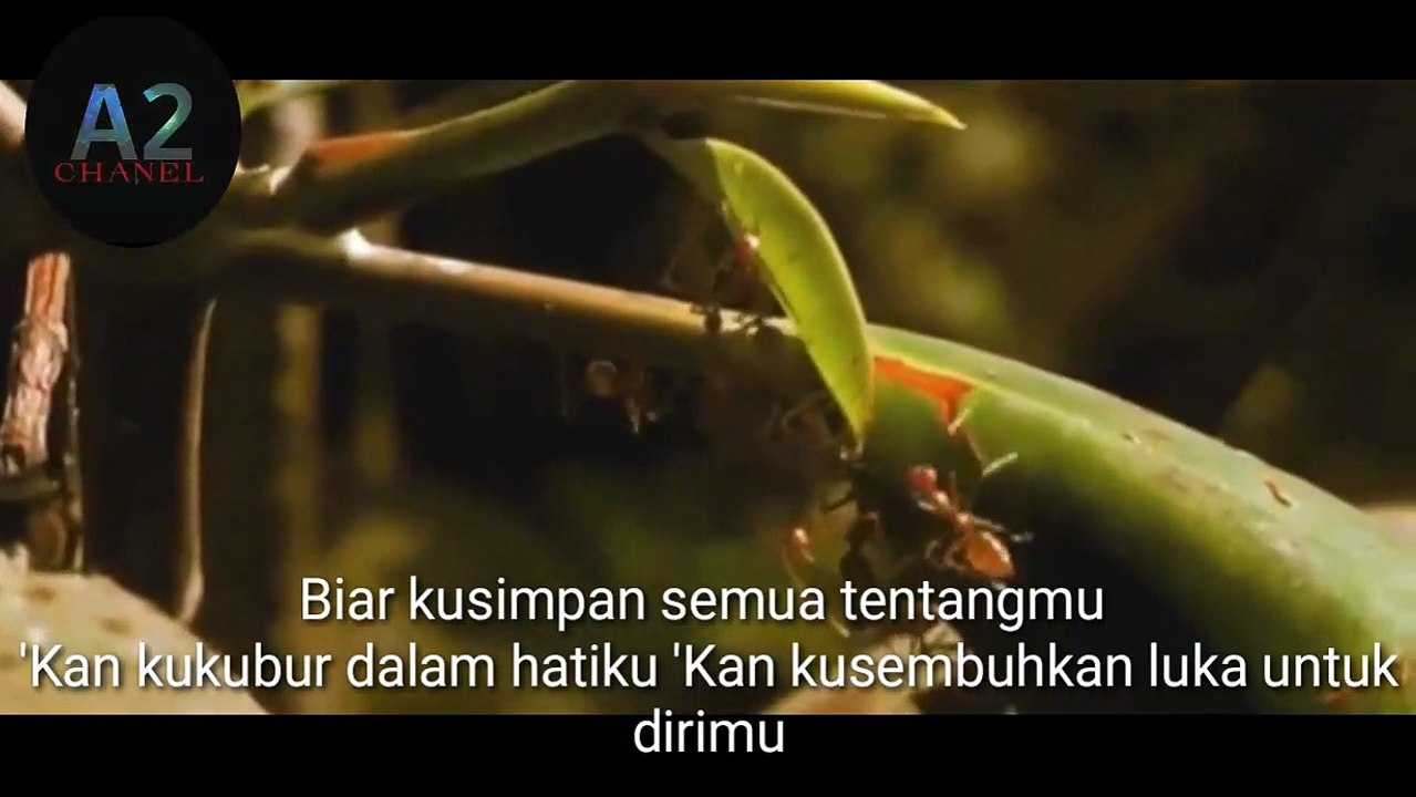 ORNITO BAND (TAK KAN BRARTI) LYRIK