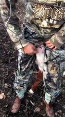 Bottle Calf is Udderly Disappointed