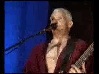 Red Hot Chili Peppers - Can't Stop Live Hollywood Studios