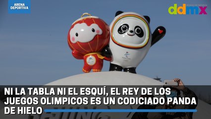 Ni la tabla ni el esquí, el rey de los Juegos Olímpicos es un codiciado panda de hielo