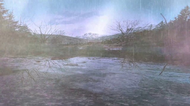 The heavy rain fell into the wild shallow lake - Beautiful landscape in the rainforest