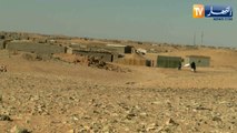 الصحراء الغربية: هيئة تحذر الإتحاد الأوروبي من دعم مشاريع المغرب للطاقة