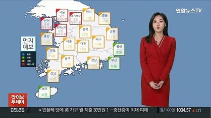 [날씨] 주말까지 공기 '답답'…수도권 미세먼지 예비 저감조치