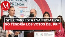 Reforma eléctrica “nunca será votada a favor” como la presentó AMLO: diputados del PRI