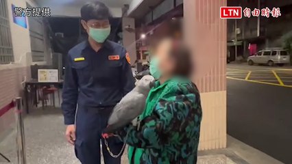 78歲老夫妻「乖孫」不見！ 兩老在派出所上演鸚鵡認親記 (警方提供)