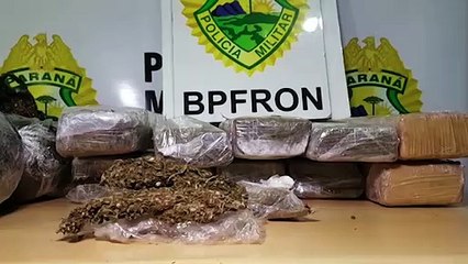 Mulher é detida com droga e encaminhada até a 15ª Subdivisão Policial