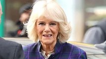 Camilla breaks silence and speaks out about Queen Consort title for first time