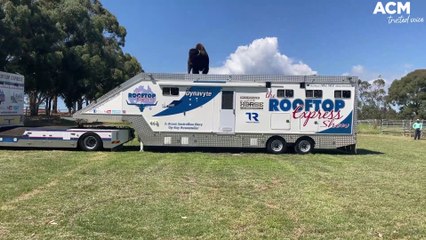 Rodeoing a bison onto a semi-trailer | February 11, 2022 | Central Western Daily