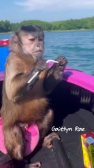 Cold day Reminiscing