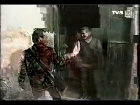 pur sang arabe au Maroc