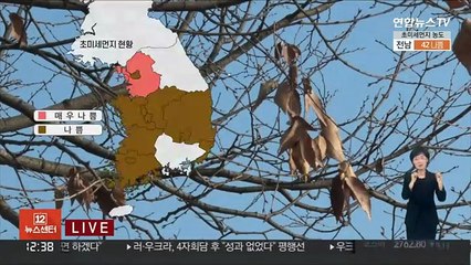 [날씨] 추위 없지만 공기질 말썽…대부분 지역 공기질 '나쁨'
