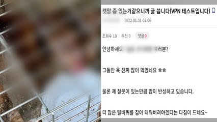 고양이 산 채로 불태우는 영상 유포...동물권단체, 경찰 고발 / YTN