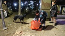 Ankara’da bir köpek zehirlenerek telef edildiği iddia edilen 8 yavru köpeğin başından dakikalarca ayrılmadı