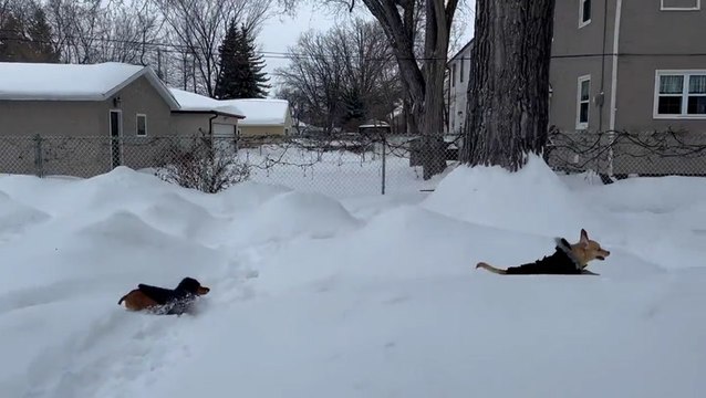 Storm brings a swath of snow across the Northern Plains