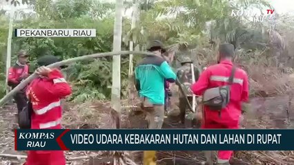 Video Udara Kebakaran Hutan Dan Lahan Di Rupat