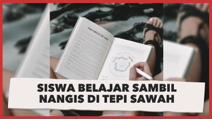 Viral Siswa Belajar Sambil Nangis di Tepi Sawah sampai Kehujanan, Alasannya Bikin Terenyuh
