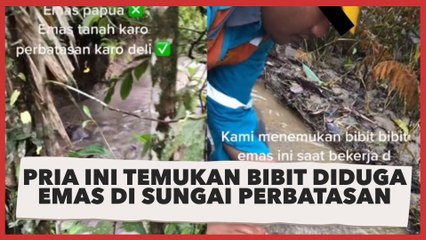 Bukan di Papua, Pria ini Temukan Bibit-bibit Diduga Emas di Sungai Perbatasan Karo, Publik: Asli atau Palsu?