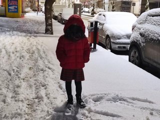 VAN'DA, 294 YERLEŞİM YERİNİN YOLU ULAŞIMA KAPANDI