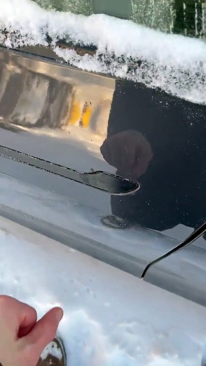 Puxador Tesla congelado