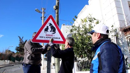 Bodrum Belediyesi’nden canlar için tabela