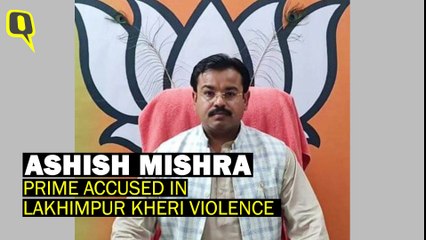Lakhimpur Kheri Killings | 'We'll Continue Fighting': Deceased Journalist's Brother on Ashish Mishra's Bail