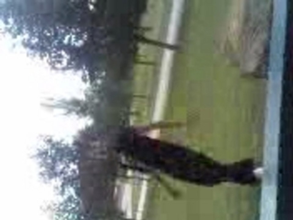mickael