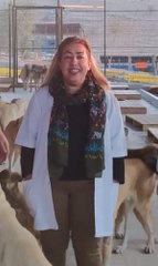 AHMET'E SALDIRAN KÖPEĞİN SAHİBİ HAKKINDA İŞLEM BAŞLATILDI