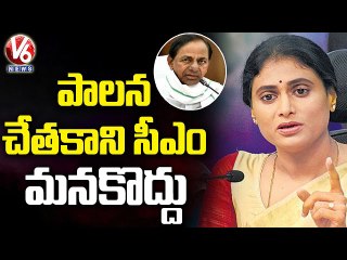YSRTP Sharmila Fires On CM KCR, Tweet About CM Ruling | V6 News