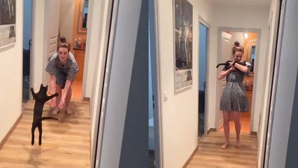 'Adorable cat expresses love for owner by jumping into her arms '