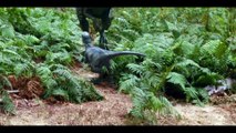 Jurassic World: Dominion (trailer)