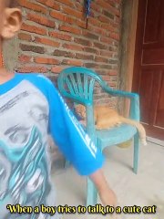 When a boy tries to talk to a cute cat