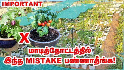 உங்கள் மாடித்தோட்டம் தோல்வியா?_ இந்த தவறுகளை செய்யாதீங்க! |  Pasumai vikatan